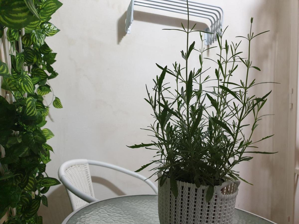 La Petite Maison Appartement Syracuse Buitenkant foto